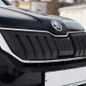Зимний экран верхний, (текстурный пластик) для Skoda Kodiaq (2016-2021) купить недорого с доставкой в Омск